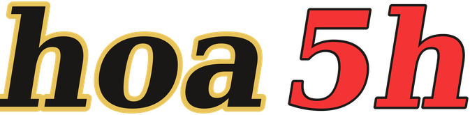 hoa5h logo